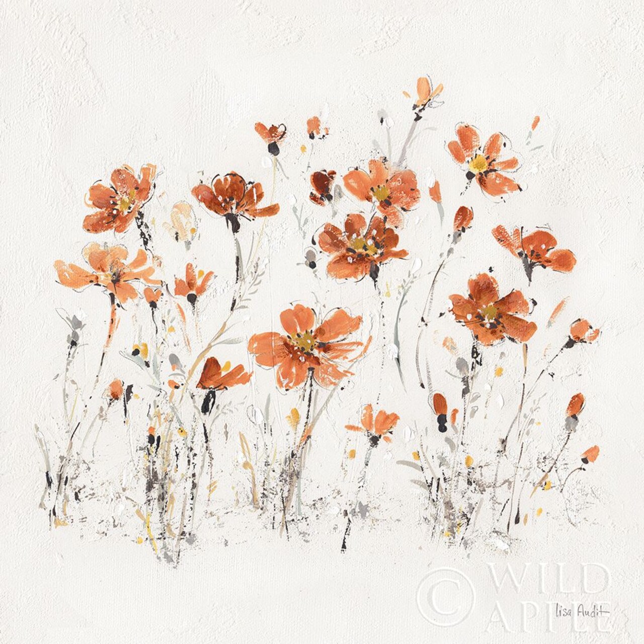 Wildflowers Iii Orange Poster Print by Lisa Audit - Item # VARPDX37430
